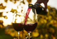 El Gobierno eliminó más de 970 normas para acelerar los procesos vinculados a la industria vitivinícola