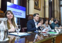 Senado: la creación de dos universidades en el nuevo foco de atención en la relación entre oficialismo y oposición