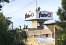 Enojo de la Casa Rosada con el dueño de Fate: el Gobierno sospecha por el cierre de la fábrica y evalúa una medida