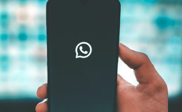 Papelera de WhatsApp: así podés recuperar tus archivos y conversaciones