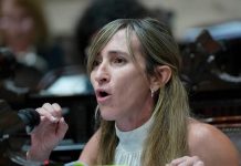 Una diputada libertaria presentó un proyecto para exigir un examen “psicotécnico” a quienes aspiran a altos cargos políticos