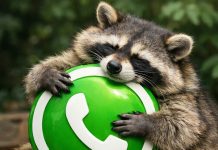 Cómo activar el “modo mapache” de WhatsApp en marzo 2026