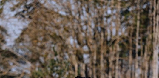 El álbum de fotos de los atuendos de los jugadores de la selección de Francia antes de los últimos amistosos previos al Mundial