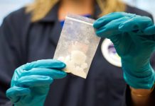 El Gobierno amplió el listado de drogas controladas con la incorporación de más de 250 nuevas sustancias