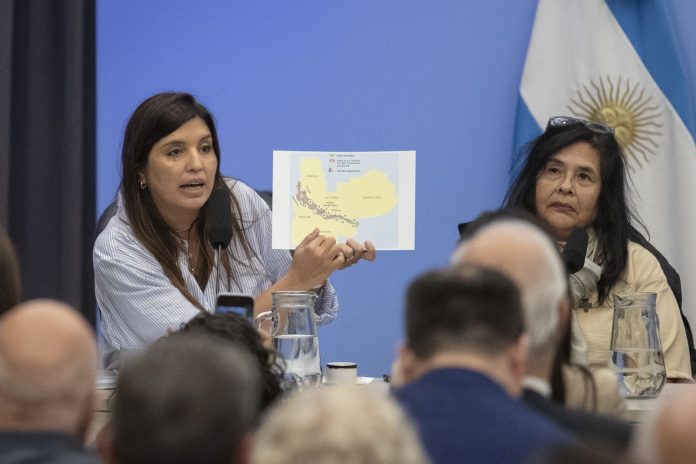 Ley de Glaciares: el titular de la Fundación de Ambiente y Recursos Naturales aseguró que “el resultado será la judicialización”