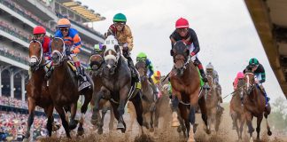Masajistas, psicólogos equinos y dietas de atleta de élite: los secretos del entrenamiento de los caballos del Kentucky Derby
