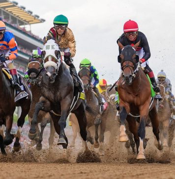 Masajistas, psicólogos equinos y dietas de atleta de élite: los secretos del entrenamiento de los caballos del Kentucky Derby