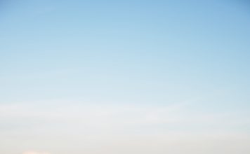 Por qué vuelven a ser populares las cámaras de fotos convencionales en la era de los celulares