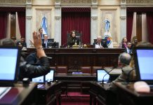 El Senado prorrogó el programa nacional de entrega de armas voluntaria hasta diciembre de 2027