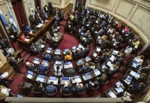 Las diferencias entre La Libertad Avanza en el Senado y la Casa Rosada liman los acuerdos con los aliados