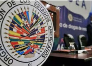 A través de una iniciativa propuesta por Argentina, la OEA designó el 27 enero como “Día Internacional en Memoria de las víctimas del Holocausto”