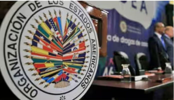 A través de una iniciativa propuesta por Argentina, la OEA designó el 27 enero como “Día Internacional en Memoria de las víctimas del Holocausto”
