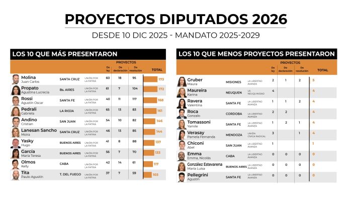 Cuántos proyectos llevan presentados los diputados que ingresaron en diciembre