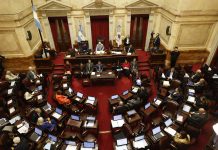 El Gobierno busca una sesión en el Senado en medio del Mundial para reforma electoral y super RIGI