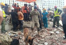 La misión humanitaria argentina en Venezuela rescató a dos personas entre los escombros con la ayuda de un can especializado