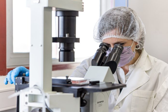La Academia Nacional de Ciencias alertó por la “fuga de cerebros” y cuestionó las políticas del Gobierno para el sector