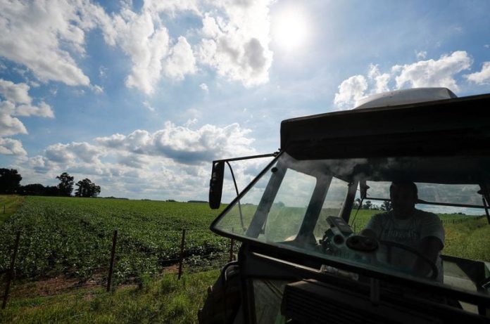 Qué cambia con el proyecto que modifica la ley de tierras rurales: provincias, extranjeros, expropiaciones y desalojos