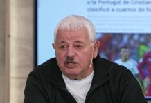 Tití Fernández elogió el trabajo de la Selección y explicó por qué decidió no viajar al Mundial