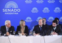 El Gobierno busca blindar el Súper RIGI: el secretario de Hacienda irá al Senado por pedido de la oposición
