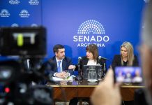 El oficialismo busca retomar en el Senado el debate sobre la eliminación de las PASO pero no hay consenso con los aliados