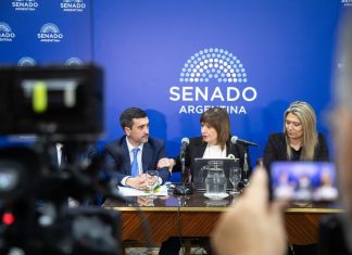 El oficialismo busca retomar en el Senado el debate sobre la eliminación de las PASO pero no hay consenso con los aliados