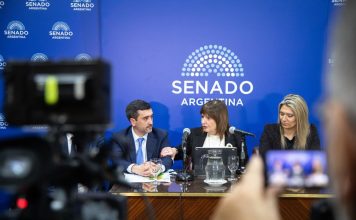 El oficialismo busca retomar en el Senado el debate sobre la eliminación de las PASO pero no hay consenso con los aliados