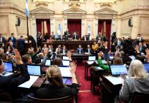 El Senado aprobó la ley de propiedad privada, pero el Gobierno debió ceder en la reforma del Fuego