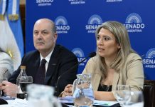 El Senado reanuda el debate por la ley de Sociedades: expondrán ex funcionarios y una empresa geoespacial