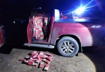 Incautaron más de 780 kilos de hojas de coca y 24 mil atados de cigarrillos de contrabando en Salta