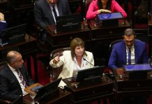 Jornada clave en el Senado: hoy se votará la ley de propiedad privada tras darse de baja la venta de tierras a extranjeros