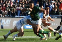 Los Pumas perdieron 17-10 ante el bicampeón del mundo Sudáfrica en la cancha de Vélez