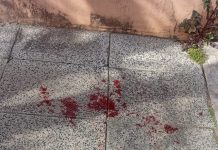 Los videos de una seguidilla de robos que alarma a los vecinos de Ramos Mejía: “Más que cansados, estamos preocupados”