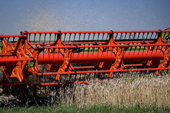 Preocupación en el Gobierno por el “Súper Niño” y su impacto en el campo: prevén hasta un 90% más de lluvias en diciembre