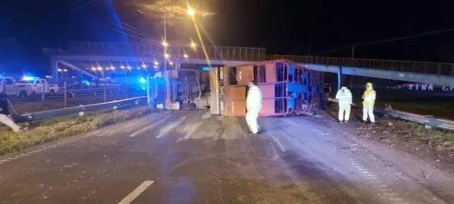 Volcó un camión con ganado en Rosario: varias vacas escaparon y cinco hombres fueron detenidos por intentar robarlas