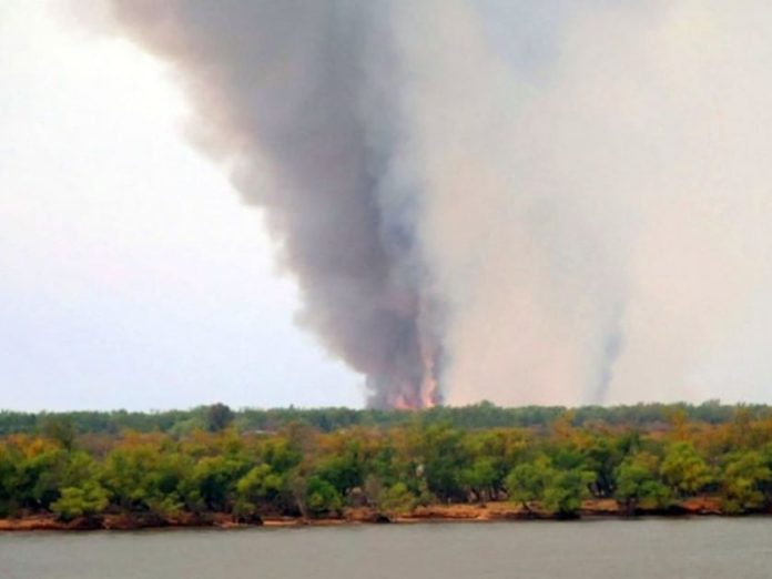Alertan por el impacto ambiental de los incendios en las islas del Delta que arrasaron con más de 1