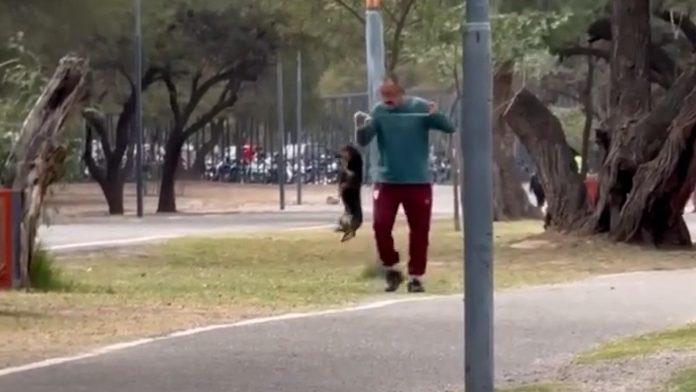 Catamarca: le iniciaron una causa judicial a un hombre que fue grabado ahorcando y pateando a su perro salchicha