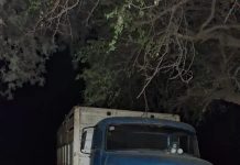 Chaco: intentó evitar que se le escape el ganado del camión, pero su hijo perdió el control, lo atropelló y murió