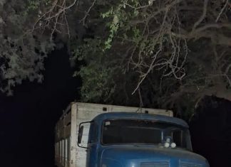Chaco: intentó evitar que se le escape el ganado del camión, pero su hijo perdió el control, lo atropelló y murió