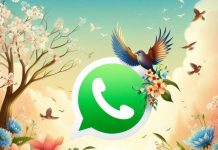 Cómo activar el “modo primavera” de WhatsApp en septiembre 2026