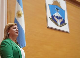 Condenaron a la ex vicegobernadora de Neuquén a pagar una millonaria indemnización por daños e injurias