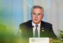 El Gobierno designó a Rubén Javier Ruffi como nuevo Director Nacional del Mercosur