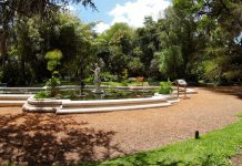 El Jardín Botánico prepara una feria de plantas y jardinería: fechas, horarios y accesos