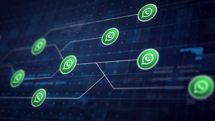 Estas son las palabras que si enviás por WhatsApp te pueden bloquear la cuenta