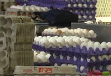 Impuestos: para las empresas es más caro donar alimentos que tirarlos