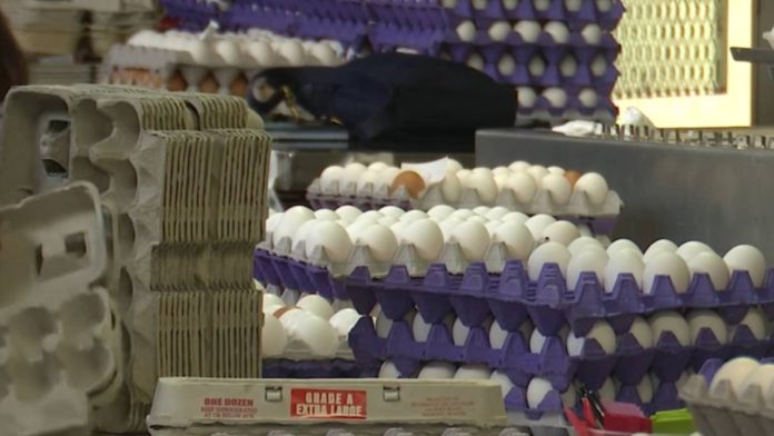 Impuestos: para las empresas es más caro donar alimentos que tirarlos