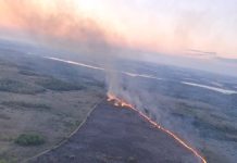 Incendio en Misiones: desplegaron un operativo para combatir el avance del fuego en la reserva Campo San Juan