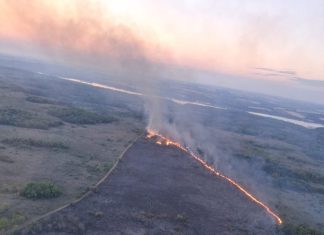 Incendio en Misiones: desplegaron un operativo para combatir el avance del fuego en la reserva Campo San Juan