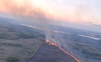Incendio en Misiones: desplegaron un operativo para combatir el avance del fuego en la reserva Campo San Juan