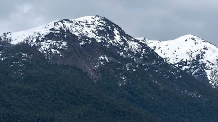 Las intensas lluvias en Neuquén provocaron un derrumbe de un cerro: dejó árboles flotando en el lago Nahuel Huapi
