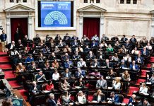 Paulón: “El oficialismo reconoció que con discapacidad y endeudamiento hay problemas”
